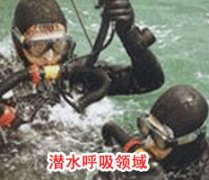 成功黄色草莓视频APP