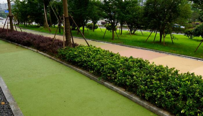 节能草莓视频在线观看视频